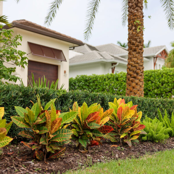 Abbey Thomas Landscapes work