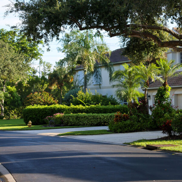 Abbey Thomas Landscapes work